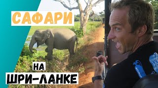 Safari  in Sri Lanka. National parks Udawalawe and Yala, which one to choose?