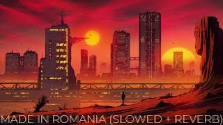 made in romania (slowed + reverb) - Florin Cercel, Ionut Cercel, & Petrica Cercel