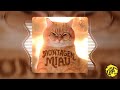 MONTAGEM MIAU ULTRA SLOWED