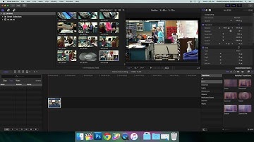 how to use the crop, transform, and distort tools