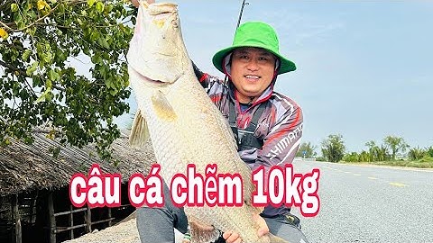 Câu Cá ChẽmLure Cá Chẽm Đồ Câu Đại Ngáo / Đụng Đổ Cá Chẽm 10kg . Cần EAGLE SUPER Máy Deukio Da2.