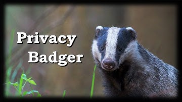 How to use Privacy Badger (2019)