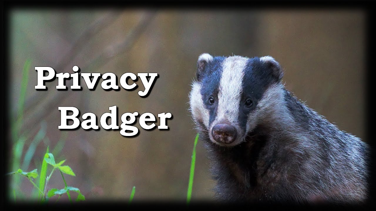 privacy badger safari