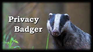 how to use privacy badger (2019)