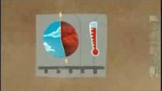 Everything's Cool Trailer Profile