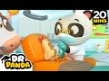 Chickens Learn With Dr. Panda! | Patience Cartoon For Kids | Dr. Panda 🐼