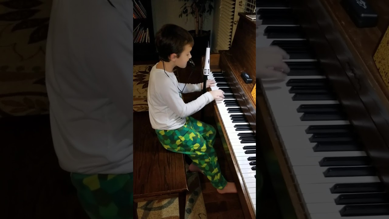 Billy Joel Piano Man Harmonica