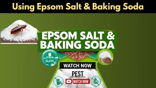 Effectively Get Rid Of Pests Using Epsom Salt & Baking Soda | Natural Pest Control