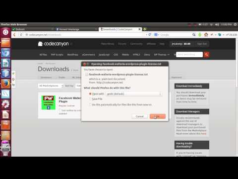 Getting Codecanyon License Key