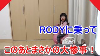 ロディに乗って遊んでたらたらまさかの大惨事。。。。