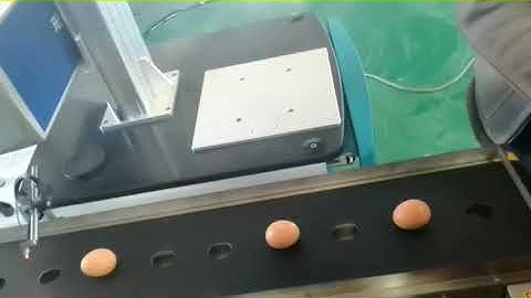 marking eggs with UV laser marker.