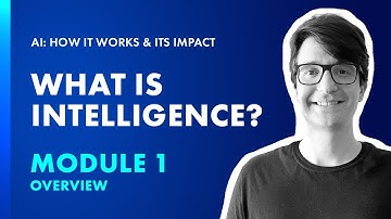 AI Micro-credential Module 1: What