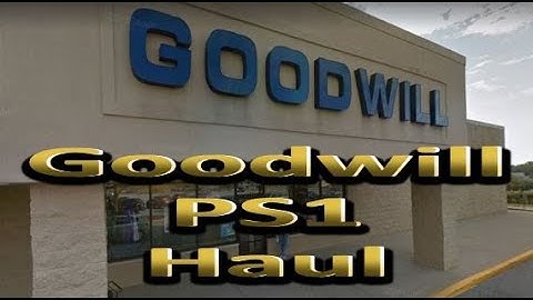 Goodwill PS1 Haul