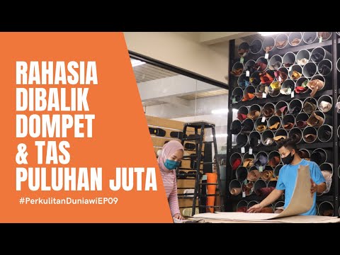 Video: Kulit mana yang terbaik?