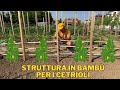 Creo un supporto di legno e bamb per trapiantare i cetrioli