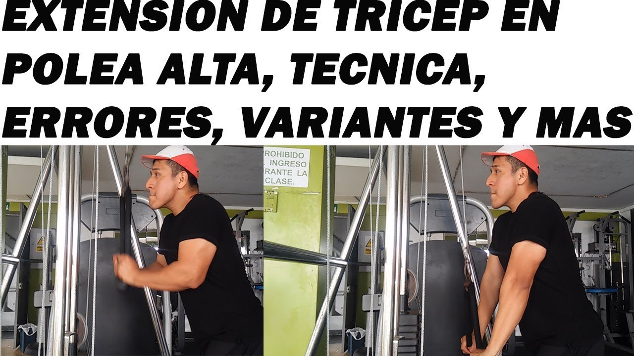 Cuerda Para Triceps Polea – ChileActivo