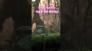 편안한 마음으로. 숙면. #빗소리asmr #수면유도 #rain
