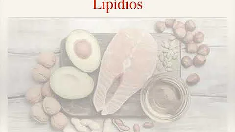 O que é integração do metabolismo?