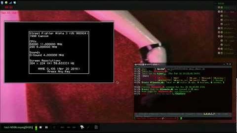 Linux compiz animated desktop xwinwrap