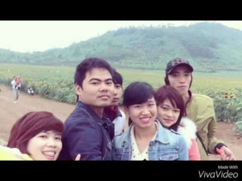 đồi hoa hướng dương nghĩa đàn nghệ an