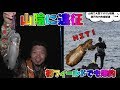 【瀬戸内を釣る】山陰に遠征！磯エギングで爆釣！回遊モンスター現る！釣り Fishing