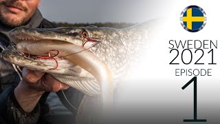 Crash Drones, Wreck Rods, Lose Big Fish... We had a BLAST! Pike Fishing in Sweden, 2021, Part 1