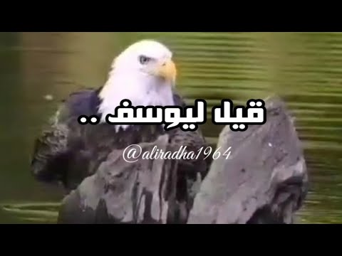 قيل ليوسف في السجن إنا نراك من المحسنين