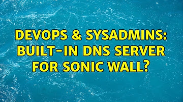 DevOps & SysAdmins: Built-in DNS server for Sonic wall?