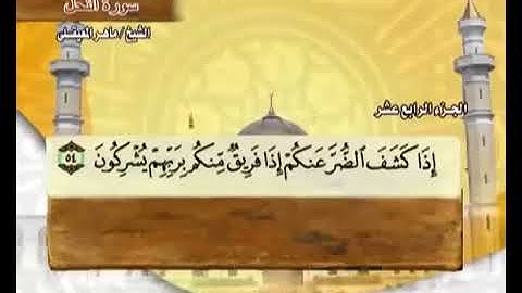 14 سورة النحل بصوت ماهر المعيقلي مع معاني الكلمات An Nahl