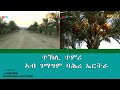 ERi-TV: ተኽሊ ተምሪ ኣብ ገማግም ባሕሪ ኤርትራ | Seashores of Eritrea fertile ground for cultivating date palms