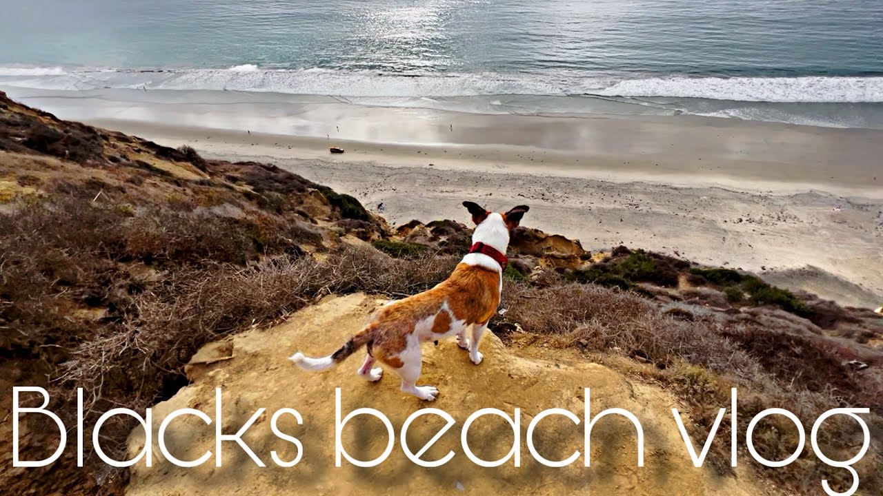 Ever been to a nude beach?￼