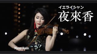 夜來香  小提琴  鄧麗君/山口淑子(李香蘭)  (Violin Cover by Momo) イエライシャン  バイオリン