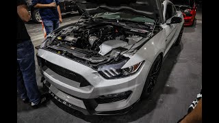Whipple gt350 vs TT LS AMG, Procharged mustang, TT mustustang, and more!!!