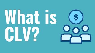 What is CLV? Customer Lifetime Value Explained For Beginners - Formula, Example, Definition screenshot 1