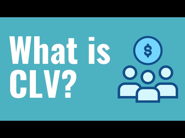 What is CLV? Customer Lifetime Value Explained For Beginners - Formula, Example, Definition class=