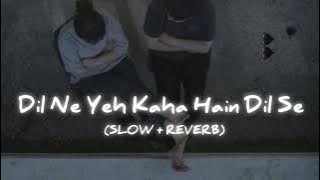 Dil Ne Yeh Kaha Hain Dil Se [ Slowed and Reverb ] - 90s Song Lofi || Alone Vibes