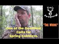 The whine one of the most deadliest calls for spring gobblers