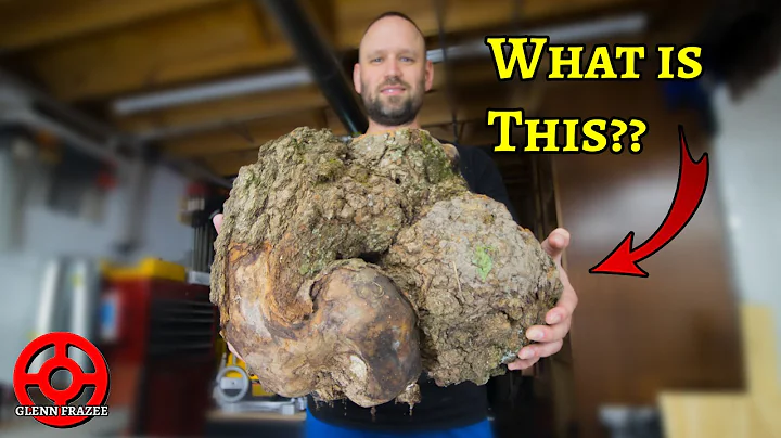 I Found a Burl While Walking in the Woods, Let's S...