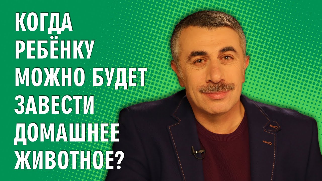 Когда ребенку можно будет завести домашнее животное? - Доктор Комаровский