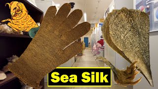 Sea Silk: The Golden Fleece?!