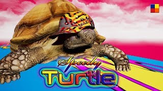 MOBILE GAME  (SPEEDY TURTLE)   Samsung Galaxy s6, s7, s8, s9, s10, s11 screenshot 5
