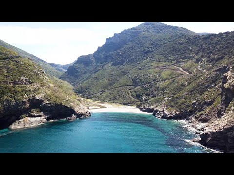 Παραλία Άγιος Δημήτριος Εύβοια