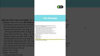 Decoding the G1 GC Log!
