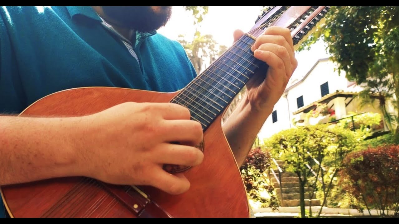 PAJARO CAMPANA EN BANDOLA