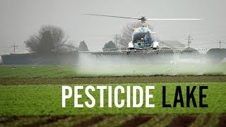 Pesticide Lake - The Poisoning of the Workers of Apopka, Florida