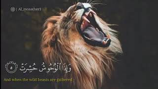 من أجمل تلاوات الشيخ عبدالباسط عبدالصمد💛 screenshot 5