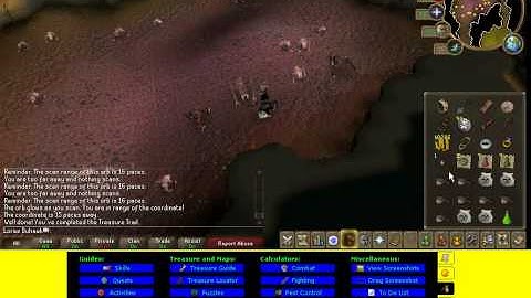 elite clue scroll reward, 380k total (epic)