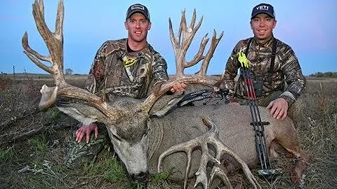 GIANT ELK AND NON TYP MULIES! | L2H S06E03 - "Momentum"