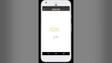 Exploring the Power of Flutter : Signature feature
