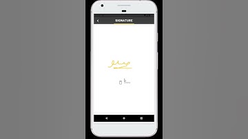 Exploring the Power of Flutter : Signature feature